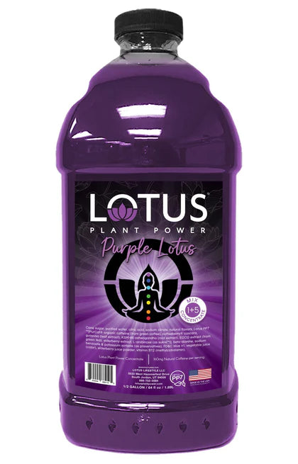 Lotus Tea Concentrate 64oz