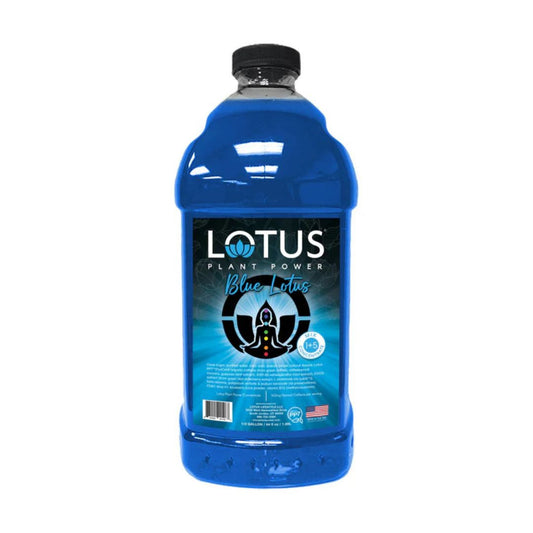 Lotus Tea Concentrate 64oz