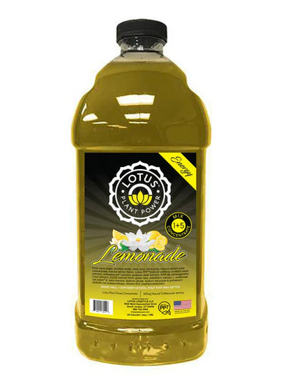Lotus Tea Concentrate 64oz