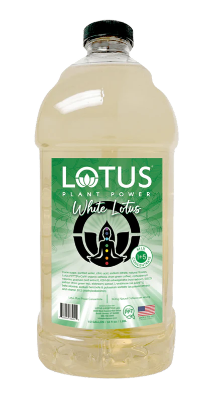 Lotus Tea Concentrate 64oz