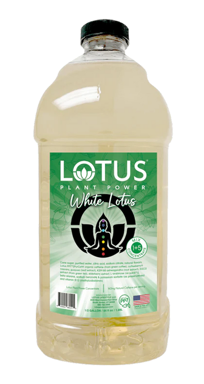 Lotus Tea Concentrate 64oz