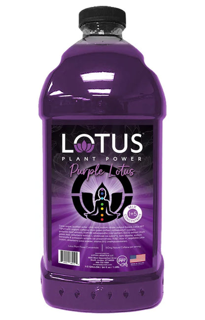 Lotus Tea Concentrate 64oz